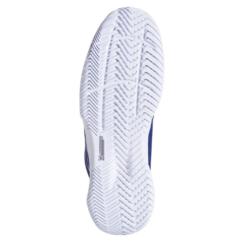 Calzado Babolat Evo All Court Men